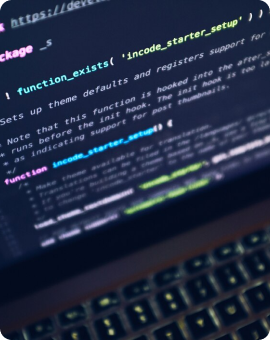 Web Development